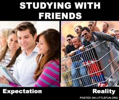 Studying with friends