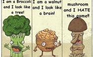 Broccoli, walnut and mushroom