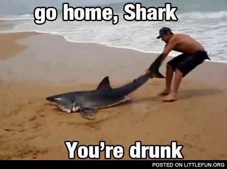 Go home, shark