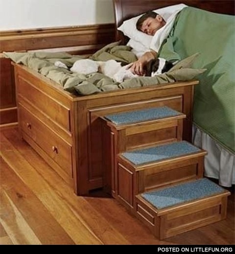 Bedside Platform Dog Bed
