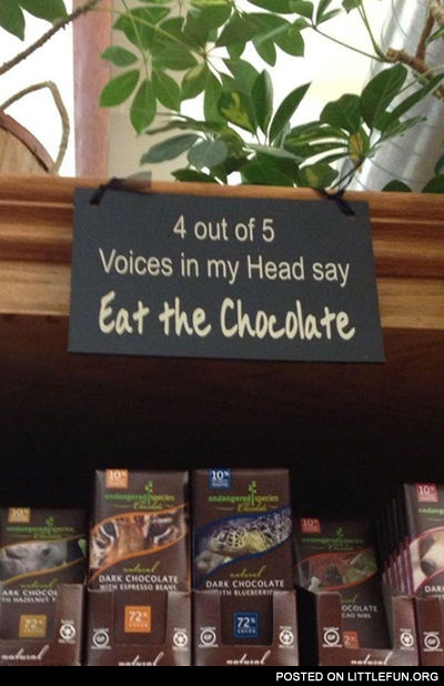 4 out of 5 voices in my head