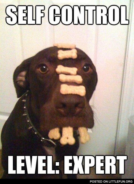 Self control level: expert