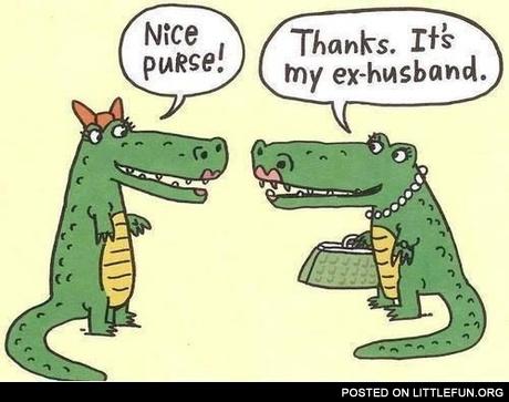 Nice purse!
