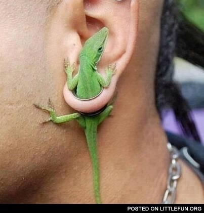 Lizard earring