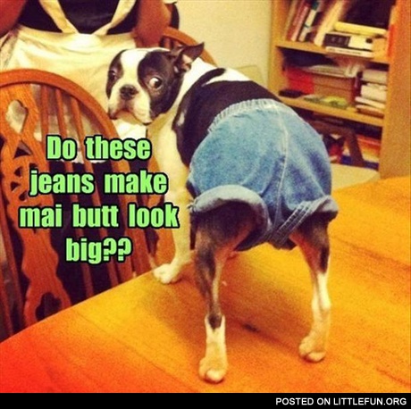 Do these jeans make my butt look big?