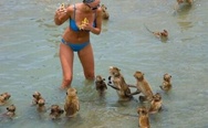 No. A girl with banana and monkeys.