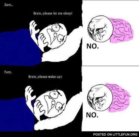 Scumbag brain