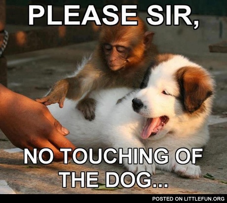 Please Sir