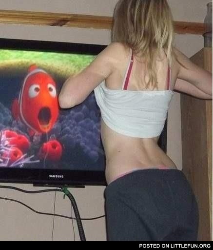 Nemo shock