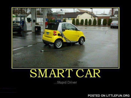 Smart car, stupid driver