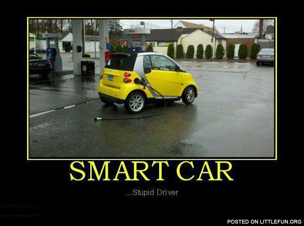 Smart car, stupid driver