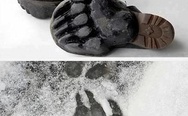 Animal Footprint Shoes by Maskull Lasserre