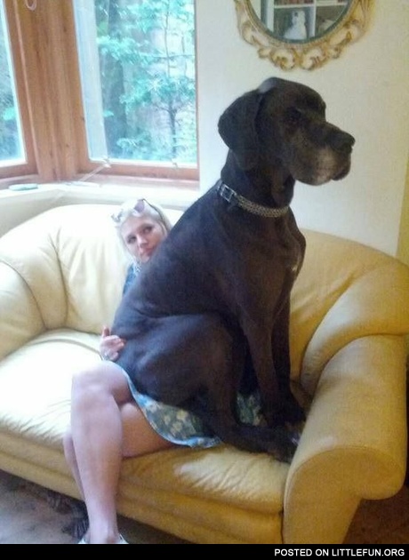 Big boy