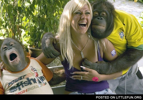 Naughty monkeys