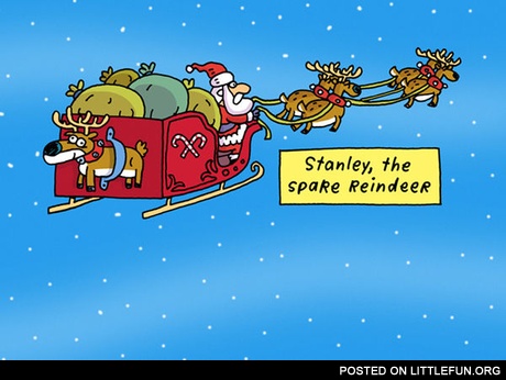 The spare reindeer