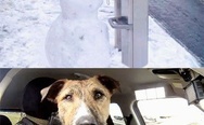 Snowman and the dog conversation