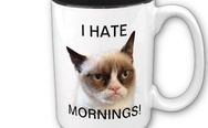 Grumpy cat mug