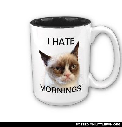 Grumpy cat mug