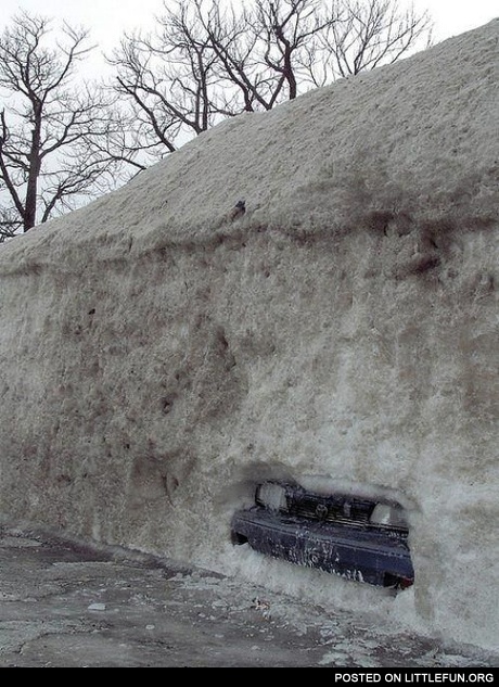 Snowdrop car