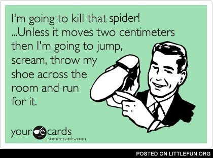 I'm going to kill that spider