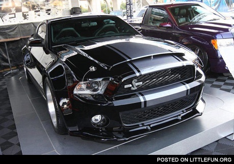 Mustang Shelby