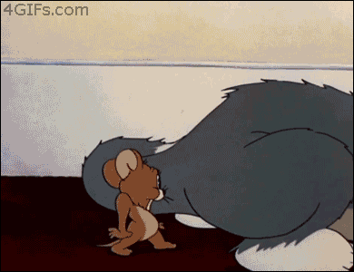 OMG, what the hell is Jerry doing with Tom