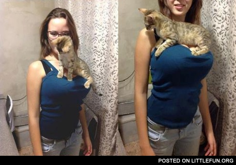 Lucky cat