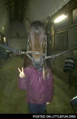 Horse head