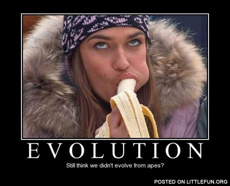 Still think we didn't evolve from apes