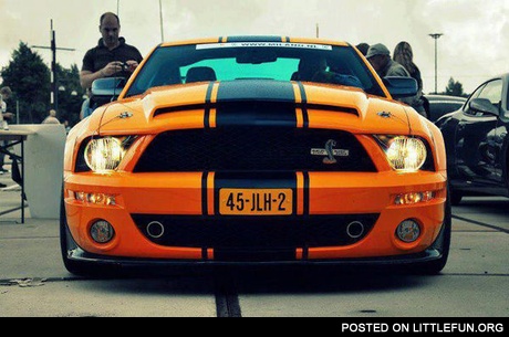 Ford Mustang Shelby GT500