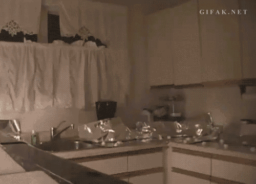 Skittish cat