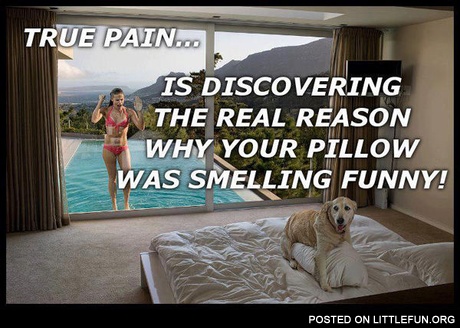 Your pillow