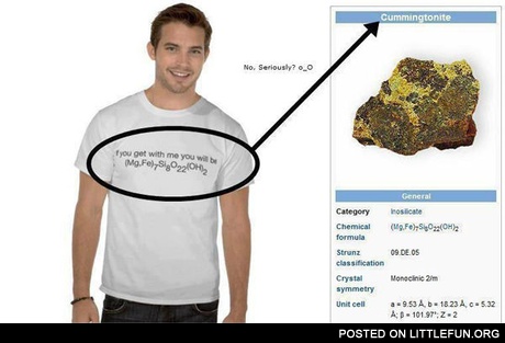 Witty T-shirt
