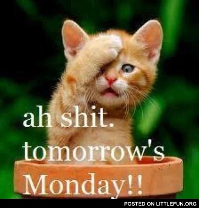 Tomorrow's monday