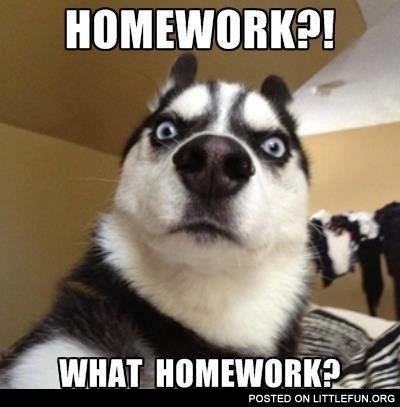 Homework?! What homework?