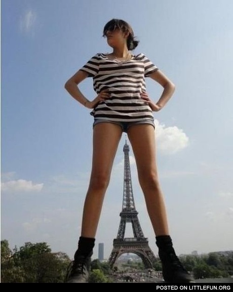The Eiffel Tower