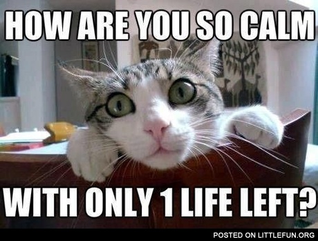 How are you so calm?