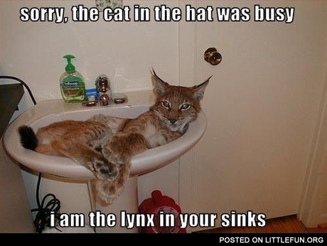 Lynx in your sinks
