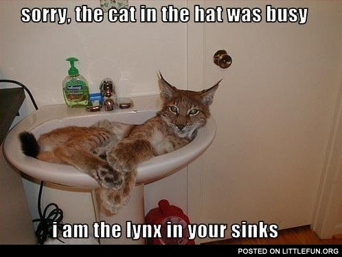 Lynx in your sinks