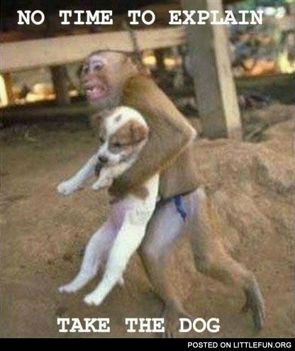 Take the dog