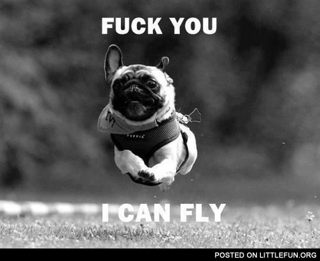 I can fly