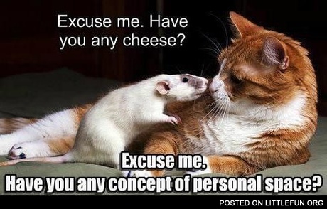 Have you any concept of personal space?