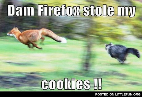 Firefox stole my cookies