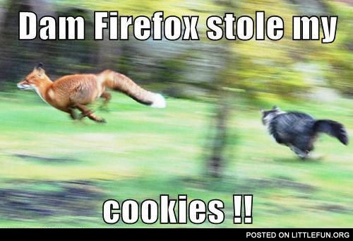 Firefox stole my cookies