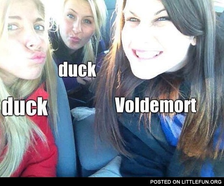 Duck, duck, Voldemort