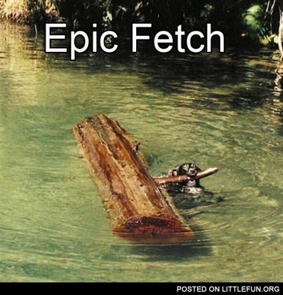 Epic fetch