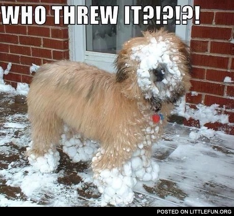 Who threw it?