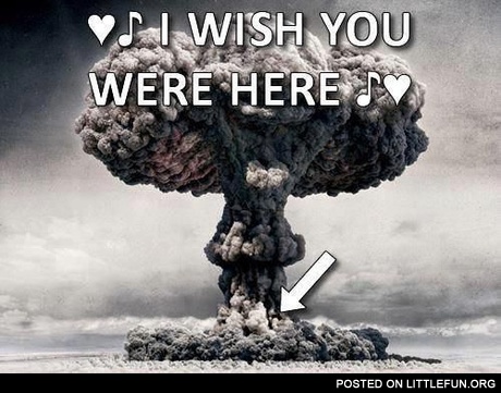I wish you were here