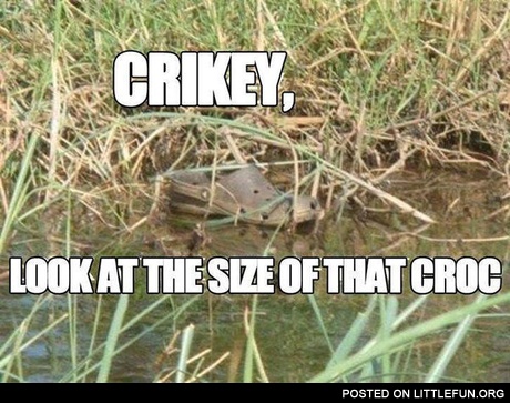 Size of the croc