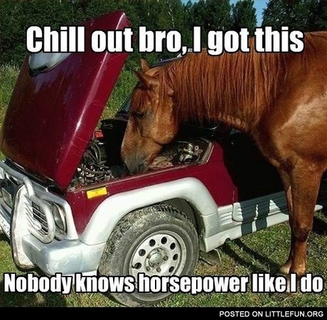 Nobody knows horsepower like I do